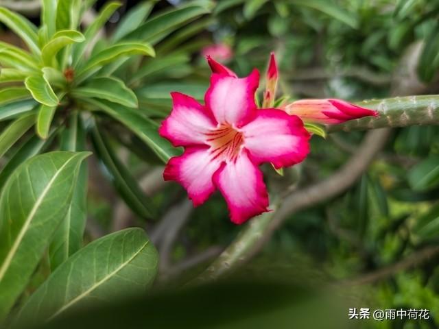 晚年苦不苦	，全看七十五：这4手备好，余生安稳舒心