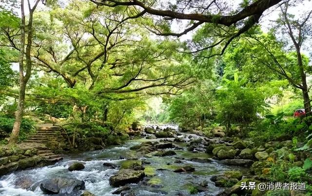 速来广东避暑！六大主题胜地，堪比“空调房”