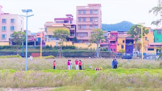 格桑花开，河鲜正鲜！来高要这里，邂逅一场粉色浪漫~