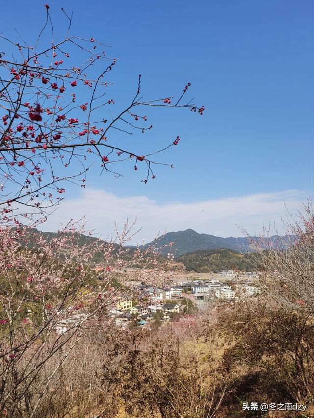 土楼拾光③:梅林古镇(2025.2.11 漳州·南靖)