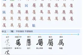 521“屬”字初文是何构形，所表何义？图片