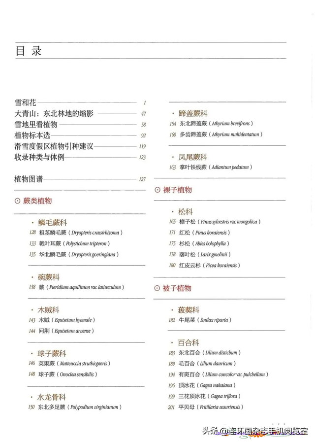 《青山草木》页选03