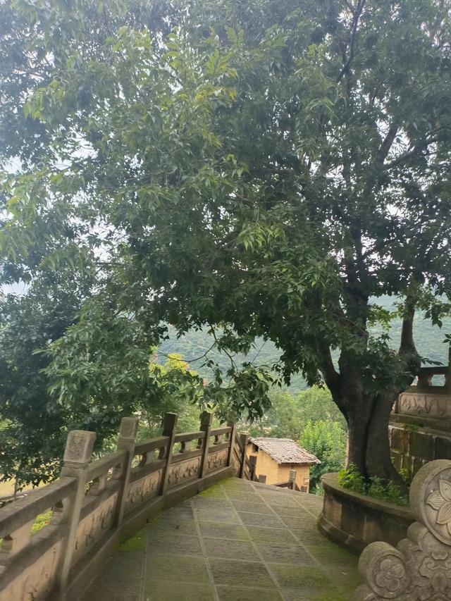 滇游行纪之二: 土司寨→城子古村