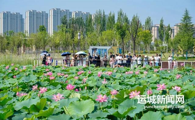 运城：城市公园拔节生长