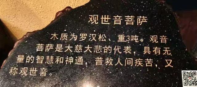 参观根宫佛国博物馆