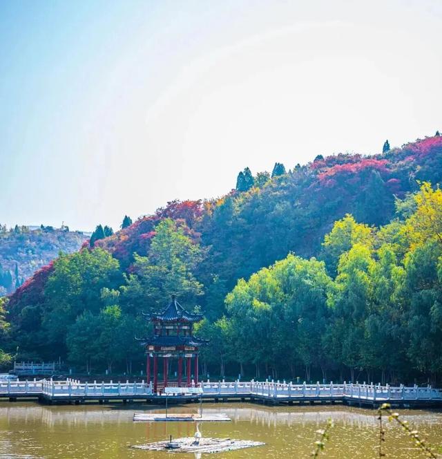 收藏！最美的11月游淄博，这些景区通通免费！