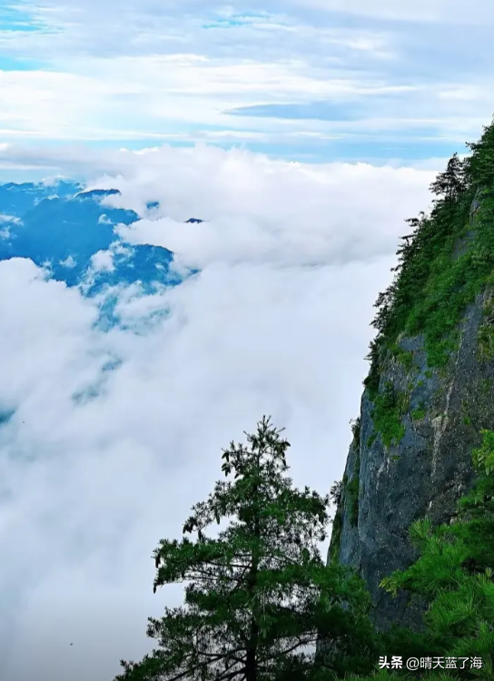一座矗立于云端的“天空之城”？商洛“天竺山”云海秘境带你领略