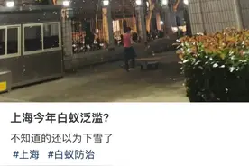 突然爆发！上海网友心态崩了：感觉一张嘴能吃到10只……这份名单很重要→图片