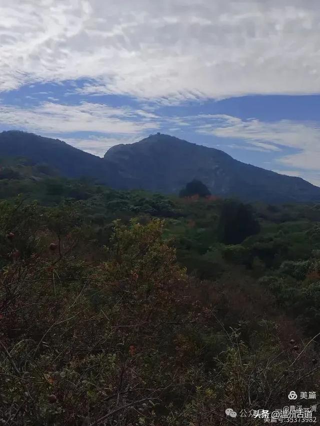 尽享无尽野趣!来浙里,开启一场跨越山与海的秘境徒步之旅!