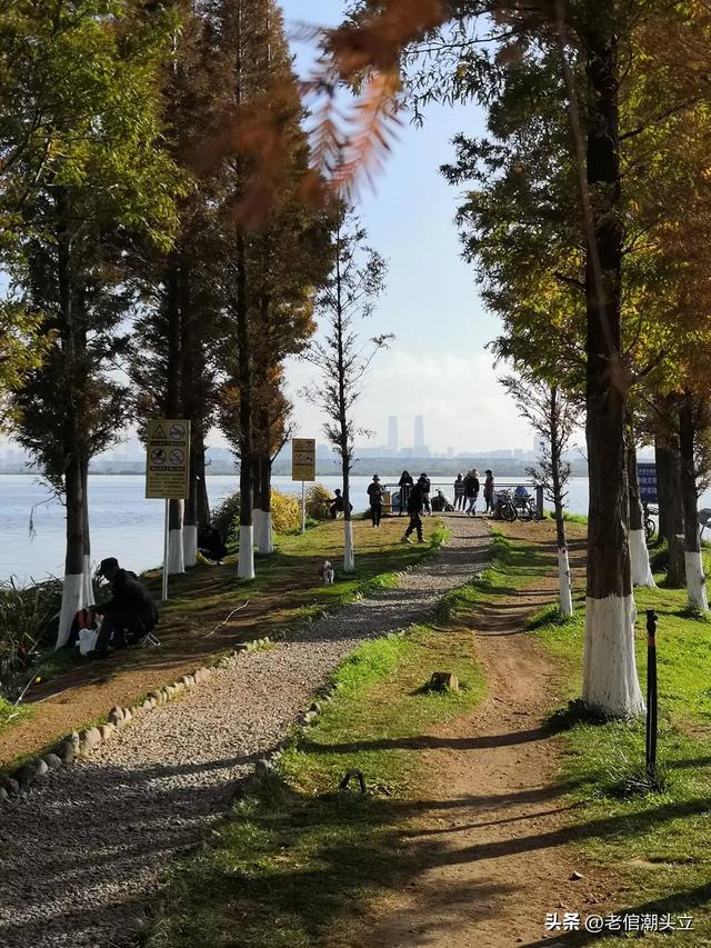 冬天的早上 晒着太阳从大观楼徒步到西山茶马花街 是什么样的感受？