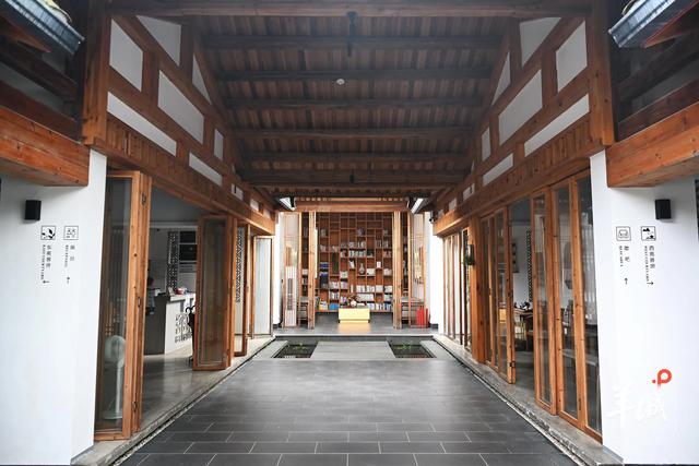 潮州潮安区东兴村：又见茶山 | 大美岭南·百村焕新记