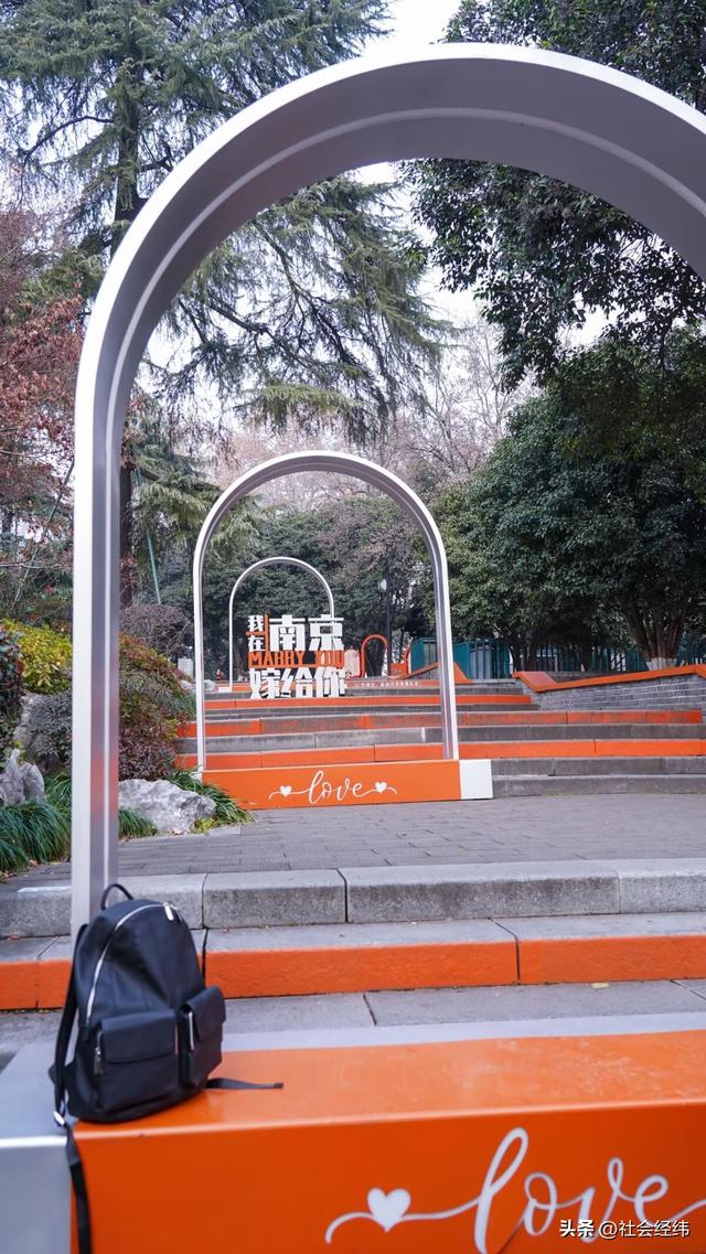 每日一景|冬日玄武湖景色