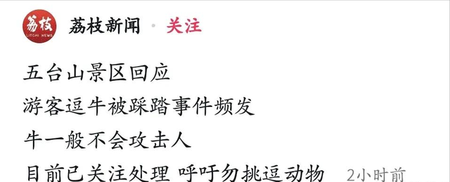 五台山牛群围攻踩踏游客，景区拒绝赔偿，画面流出，网友怒斥活该