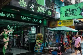 泰国幡然醒悟？取消大麻合法化！我国种植上千年为何没有成瘾？图片