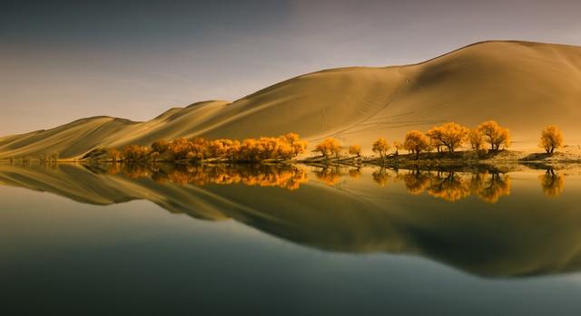 镀了金的新疆秋色，彩色绘就，五处秘境邂逅最诗意的天山南北