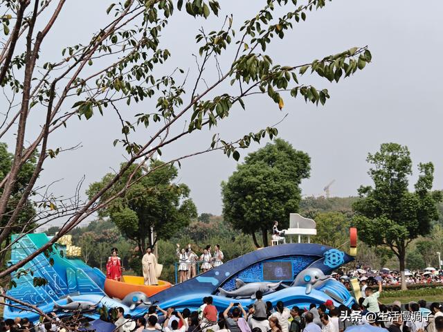 武汉十二月——一月一帧藏走过2025的四季光影