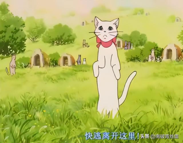 电影《猫的报恩》：在猫咪王国奇幻冒险，寻找真正的自我