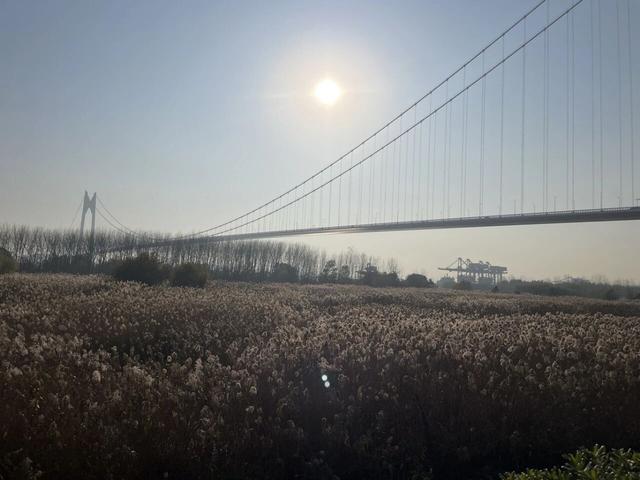 骑游仪征龙山森林公园、六合长江渔村