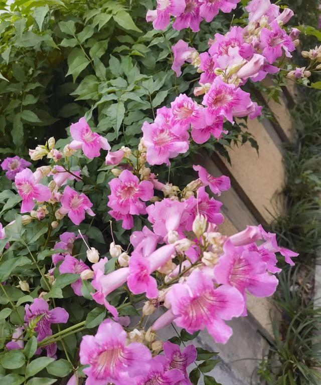 你可知道我在天涯彼岸，把你深深的想念