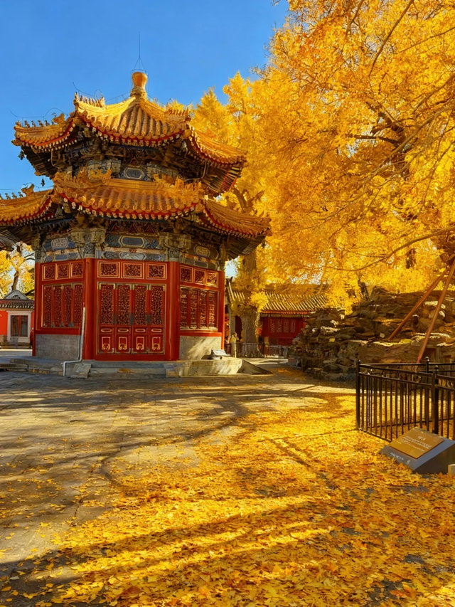 比故宫便宜，比天坛人少！快来免费的“京西小故宫”光影美绝了！