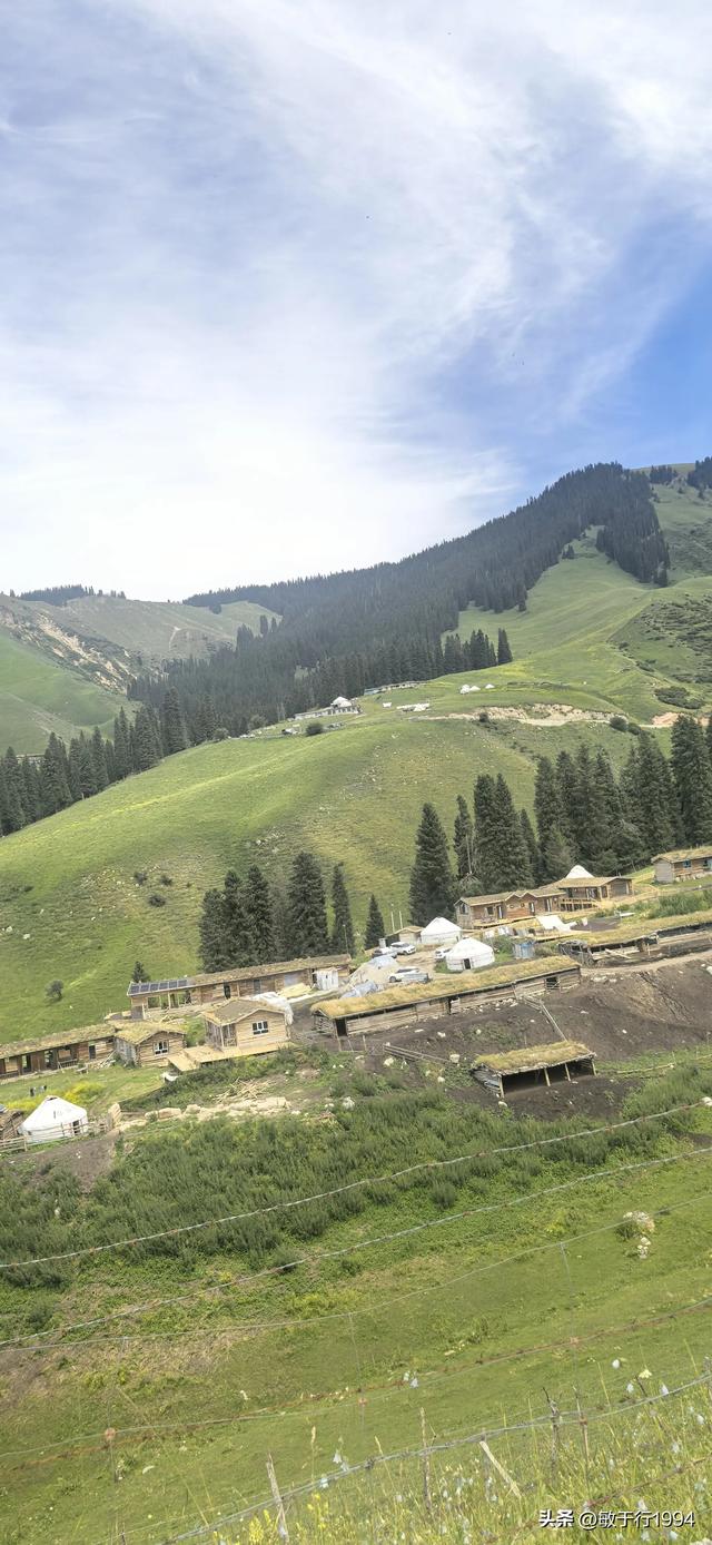 五点分析和建议，看过就知道伊犁琼库什台和喀拉峻大草原该去哪个