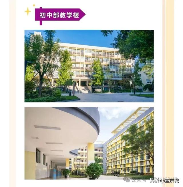 高中部建成！正式投用！大体系正在形成！
