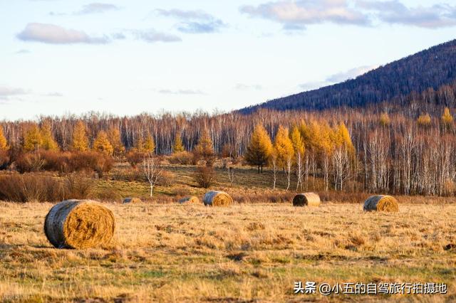 11月旅游的目的地推荐|每一个都是出片圣地的存在