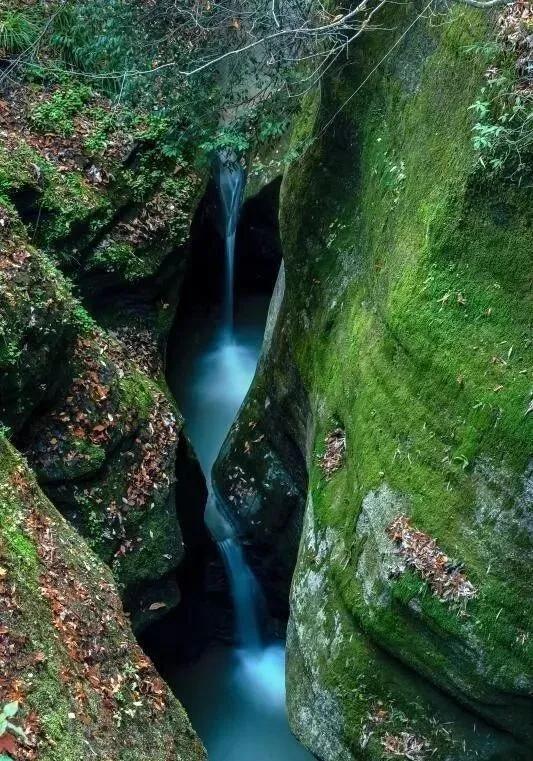 红叶漫山涧！来汉江源，邂逅一抹绝色秋光