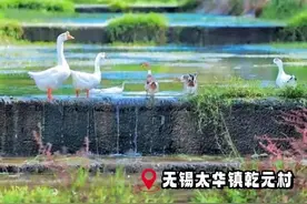 水韵江苏暑期不扎堆儿｜取消预约、延时开放！便民惠民“组合拳”邀你畅快一“夏”图片