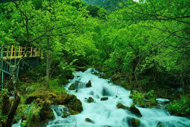 热热热，茂县松坪沟自带降温“凉”方！