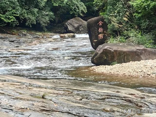 温州这个以畲族始祖命名的4A级景区，秘藏着一座“生物王国”！