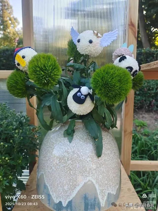 菊绽秋阳里，暗香绕中山｜申艳娟