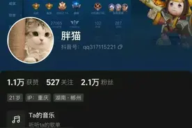 “胖猫”跳江后续：已火化，姐姐曝光原因，谭竹发文引众骂!图片