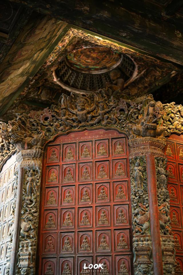 北京最新秋日打卡地 · 再看要等明年