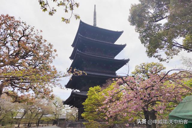 日本京都：走进东寺（教王护国寺）