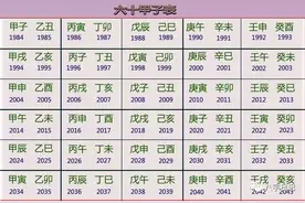 八字日记——最全的四柱八字排盘方法记图片