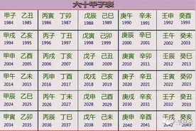 八字日记——最全的四柱八字排盘方法记图片