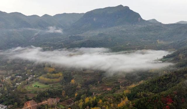 不到西坡，怎知秋色如许？