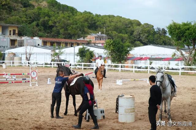 骑行山海间:在霞浦追寻别样浪漫