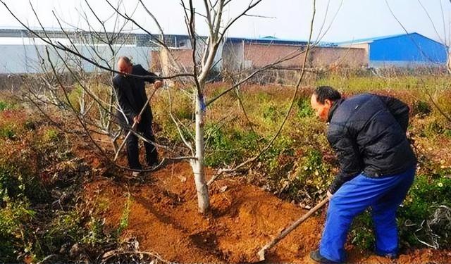 除了娶妻难外，农村又出现了8大现象，村村都有，看你村占几条