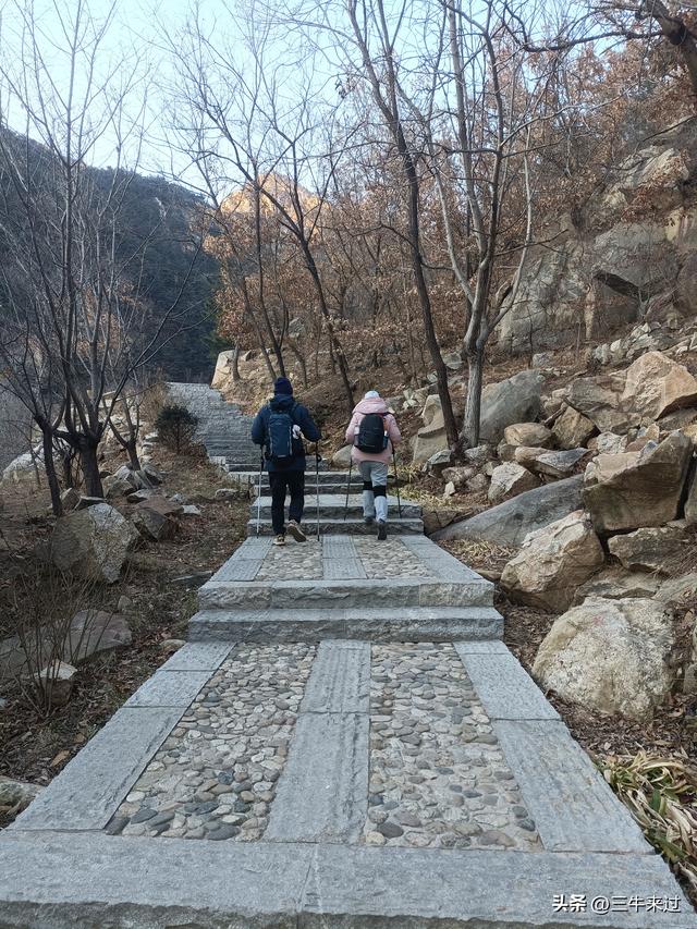 无为在歧路，二十四登泰山3