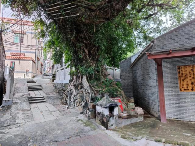 中山⇋澳门，这里曾是必经之地！你去过吗？