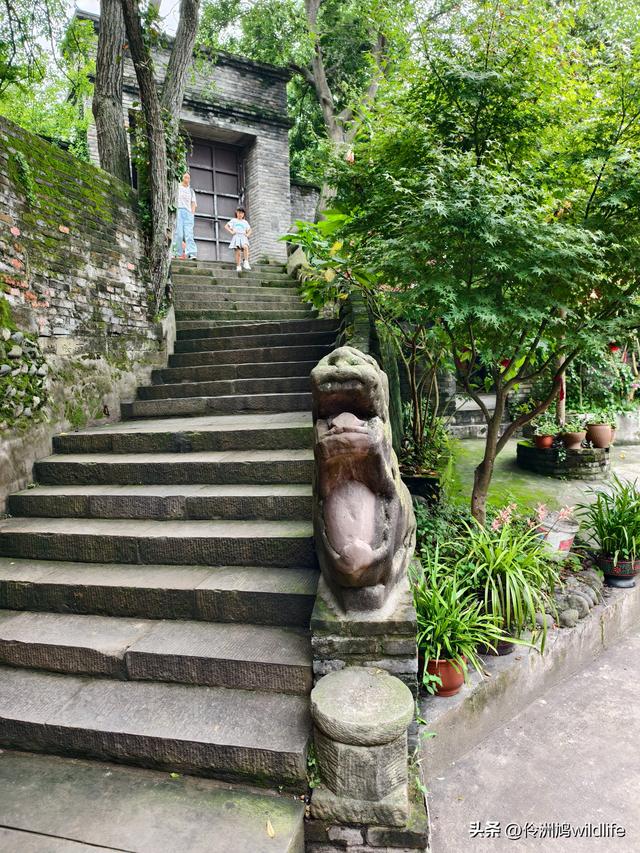 成都徒步（69）·彭州篇⑯法藏寺环线（桥断未走通）