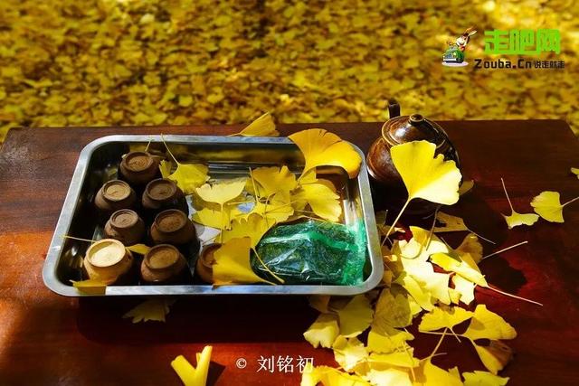 均温25°C，一年晴天300天的滇西小城，去躺平几日简直不要太快乐