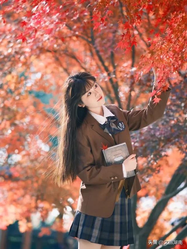 红了！湖南“追枫”地图更新