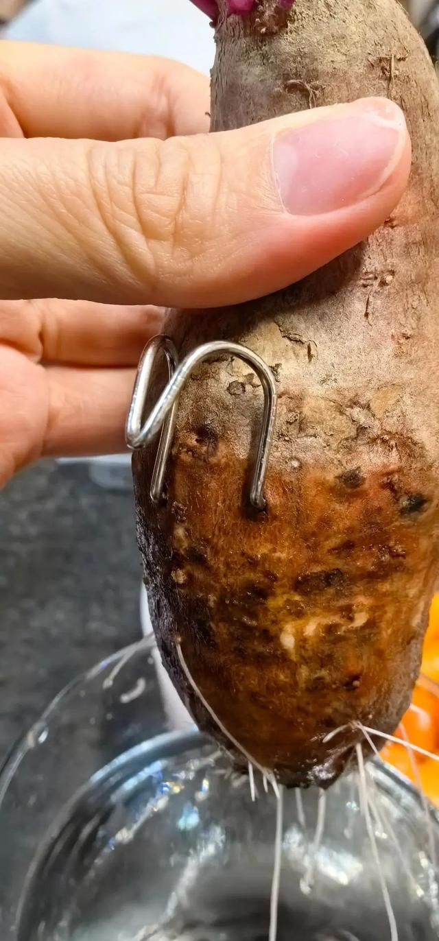 陕西一男子，晒“客厅红薯瀑布”走红，网友：我以为是塑料装饰品