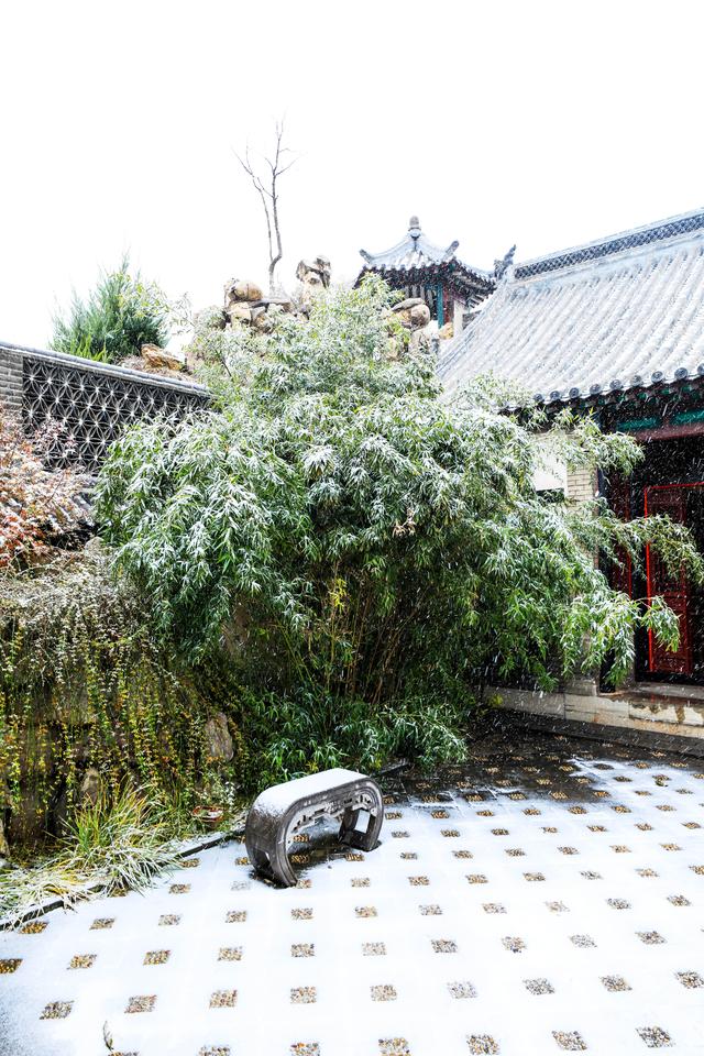 初雪滤镜下的潍坊，美得不一样~