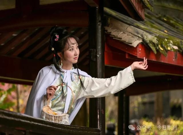 罨画池正在下一盘“大棋”