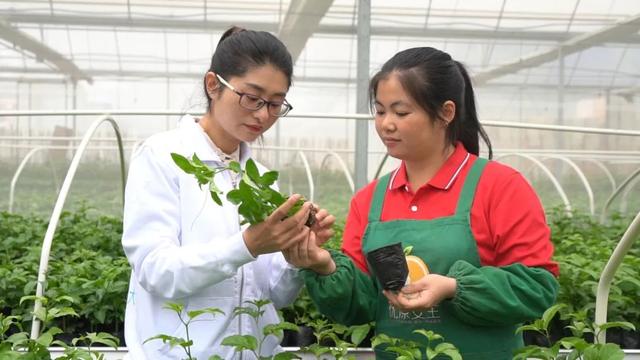 期待！福建（武平）百香果文化馆即将开馆！实景图抢先看→