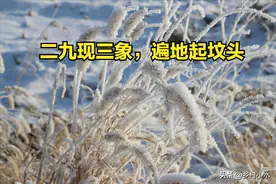 “二九现三象，遍地起坟头”，今日进二九，指的是哪3象？早防备图片